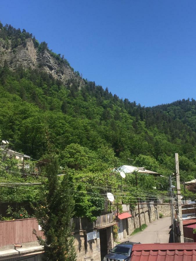 Hotel Victoria-Panorama Borjomi Εξωτερικό φωτογραφία